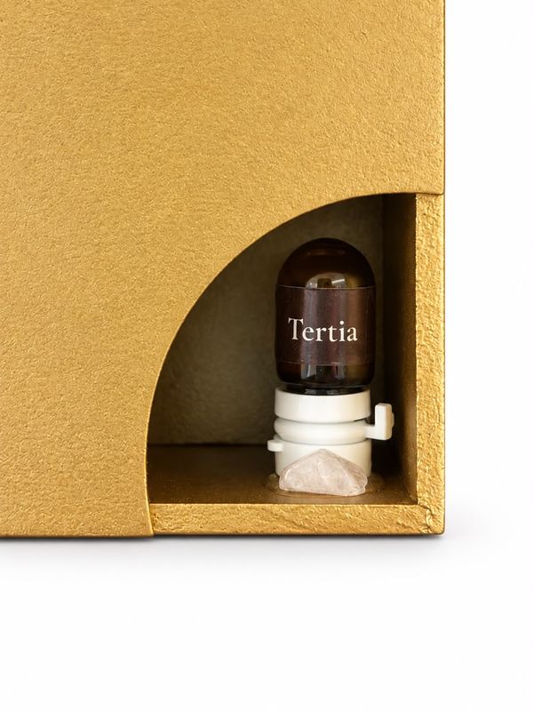 Porto Desarrollo, frasco Tertia